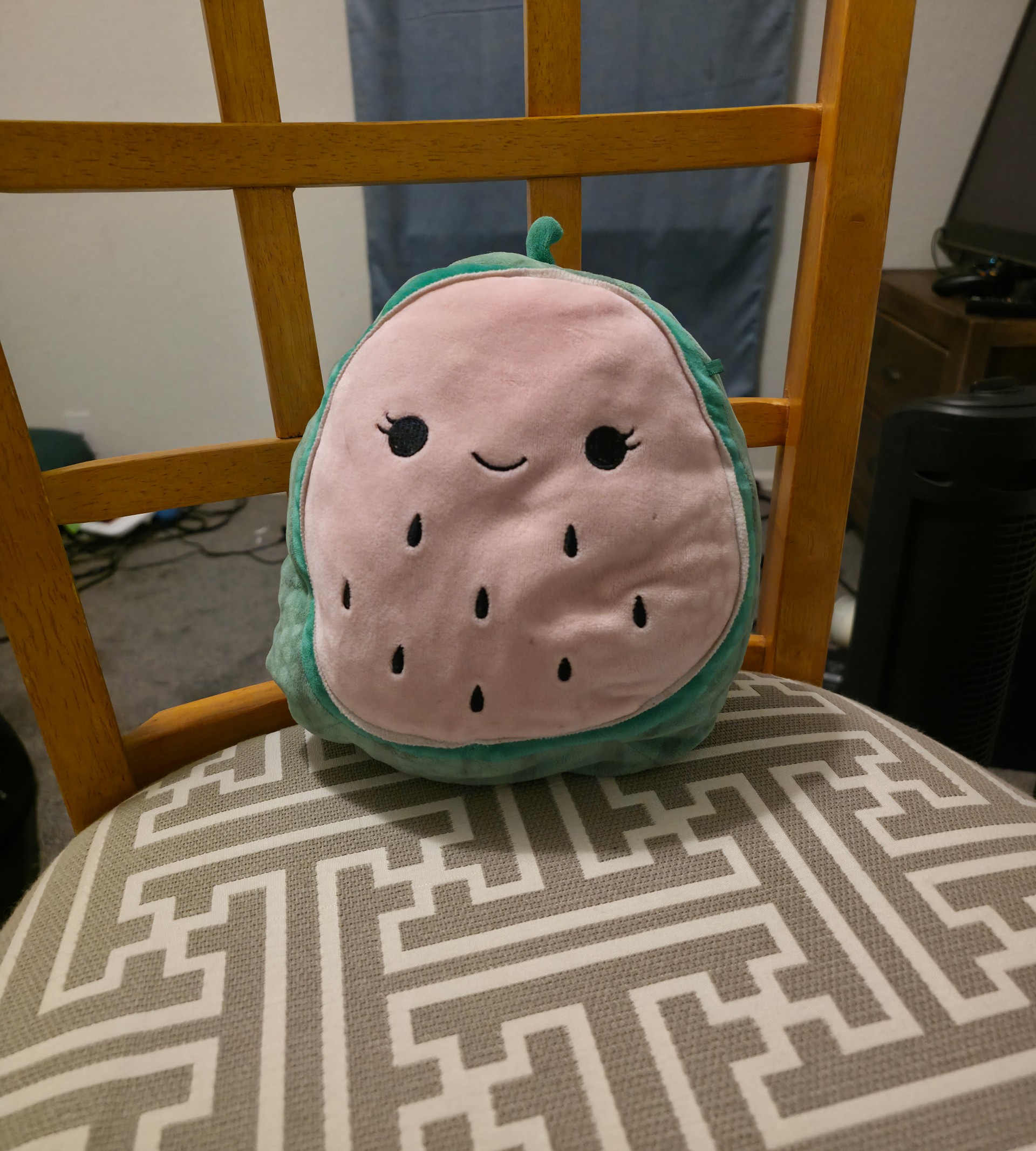 watermelon plushy named waterweapon.